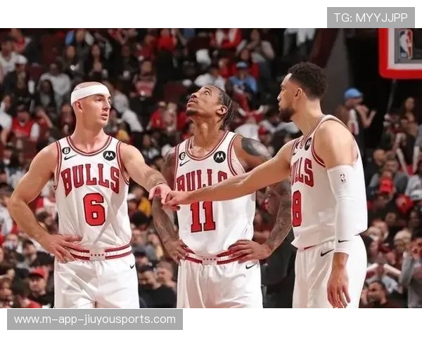 公牛外线精准，赢下关键比赛，公牛chicago